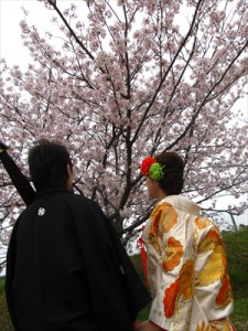 桜と_R